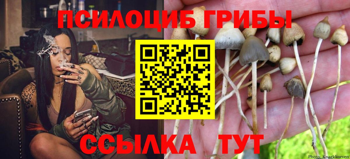 Псилоцибиновые грибы Magic Shrooms  Вход с VPN  Реж  Псилоцибиновые грибы Cubensis 